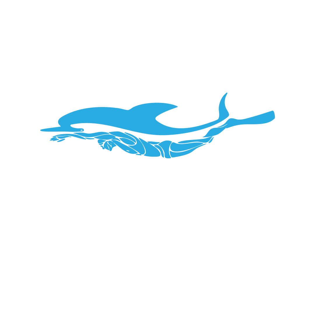 Dopamine Academy