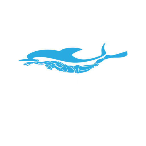 Dopamine Academy